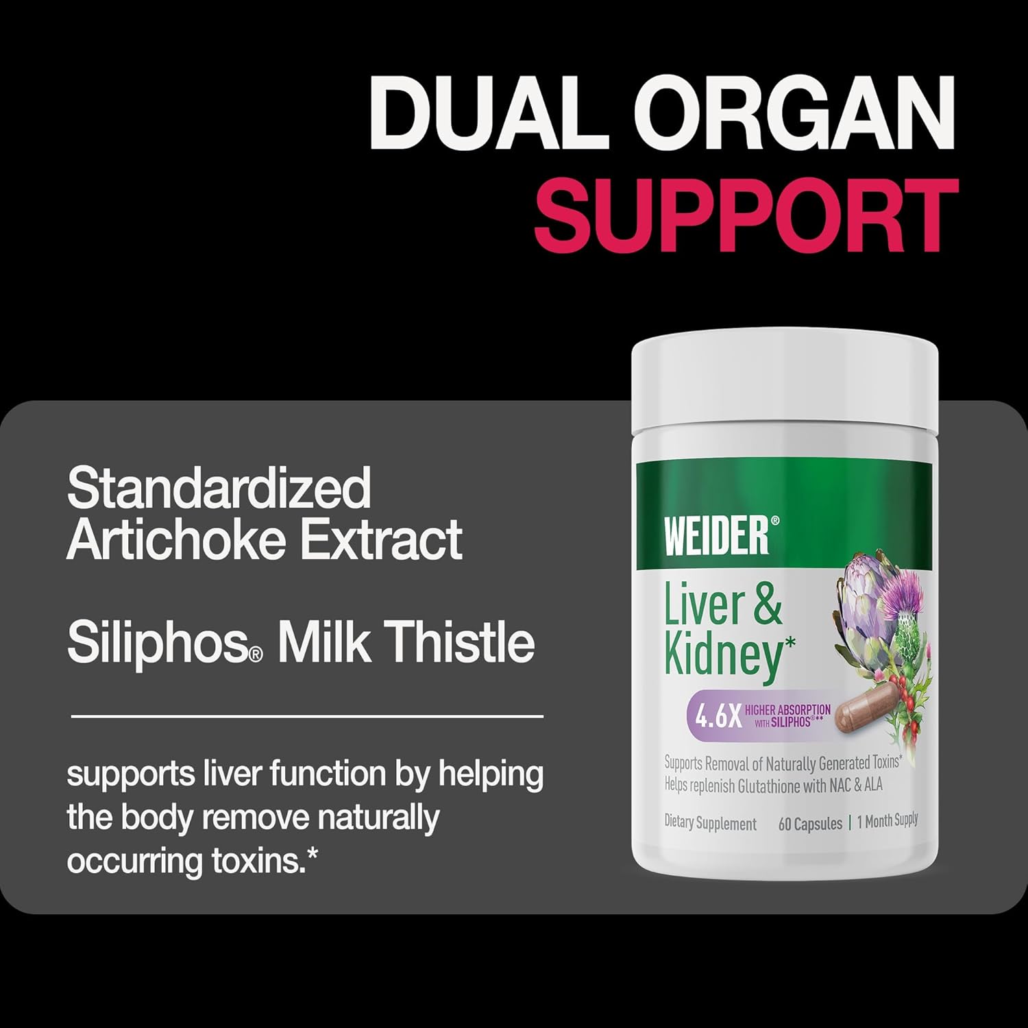 Liver & Kidney Support