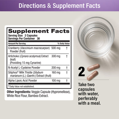 Supplement Facts: serving size 2 capsules, 30 servings. Cranberry powder 500 mg, Artichoke extract 300 mg (providing 15 mg cynarine), N-Acetyl L-Cysteine 200 mg, Siliphos® Milk Thistle extract 160 mg, Alpha Lipoic Acid 100 mg. Directions: take two capsules with water, preferably with a meal.